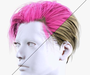 Female Short Hair Style
