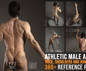 360+ Athletic Male Anatomy