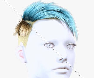 Female Short Hair