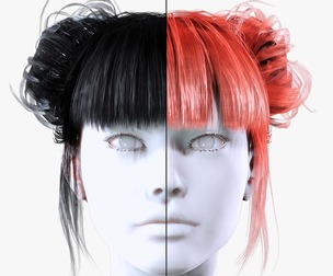 Female Hair - Double Hostess Bun