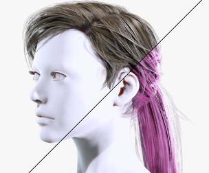 Examiner Ponytail Hair