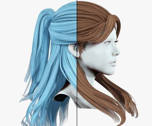 Half Up Ponytail Hair