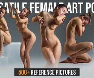 500+ Versatile Female Art Poses