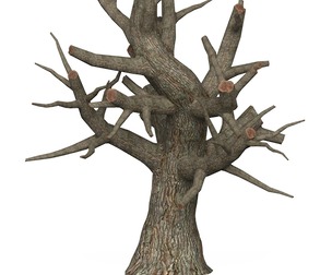 Game Ready Dead Tree 01