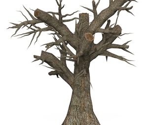 Game Ready Dead Tree 02