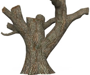Game Ready Dead Tree 03