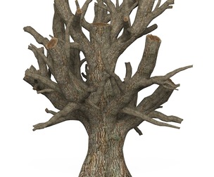 Game Ready Dead Tree 04