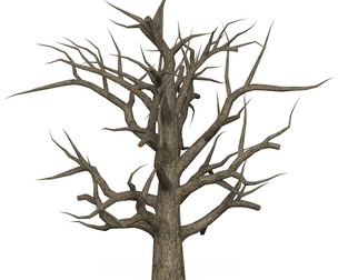 Game Ready Dead Tree 05