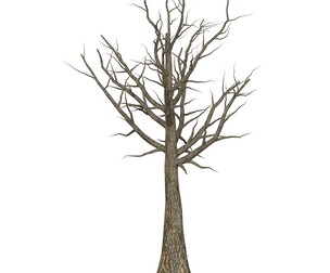 Game Ready Dead Tree 06