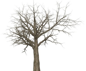Game Ready Dead Tree 08