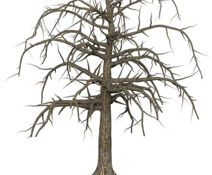 Game Ready Dead Tree 09