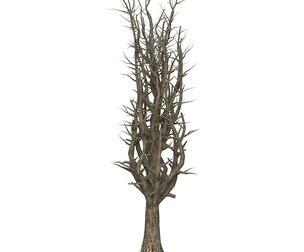 Game Ready Dead Tree 10