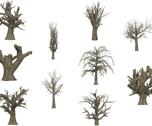 Game Ready Dead Tree Collection