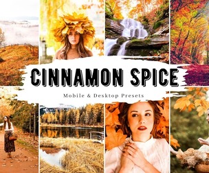 10 Cinnamon Spice Lightroom Presets