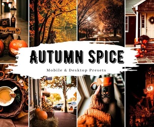 10 Autumn Spice Lightroom Presets