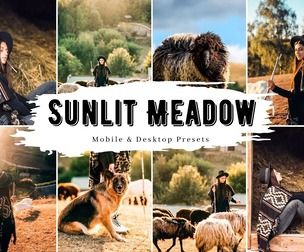 10 Sunlit Meadow Lightroom Presets