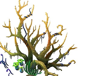 Game Model - Variation of the Celestial Coral 01