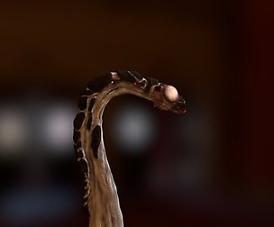 Worm Monster, scifi / fantasy animated creature.