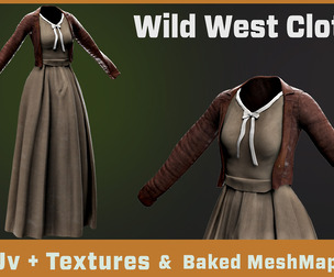 Wild West Outfit