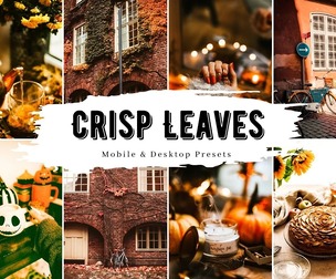10 Crisp Leaves Lightroom Presets