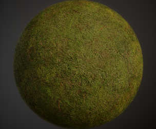 Grass
