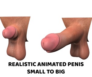 Realistic Rigged and Animated Male Penis