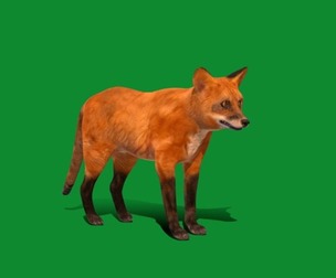 Red Fox Karaganda