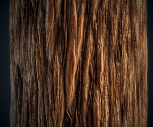 wood bark material - VOL 01 - Maps - SBsar
