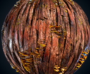 Tree bark material - VOL 02 - Maps - SBsar
