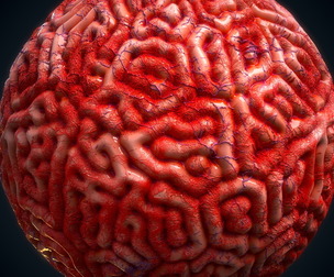 Brain material (infection) - VOL 05 - SBS - Maps