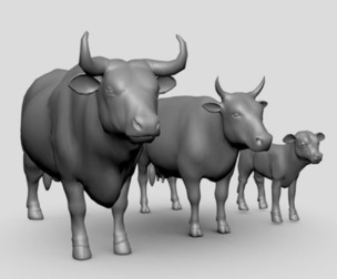 Cow Family ( Bull, Cow, Calf )
