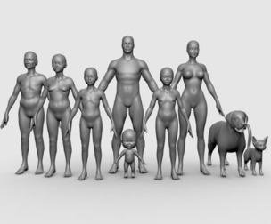 Family  BaseMesh Anatomy - Topology + UV Map