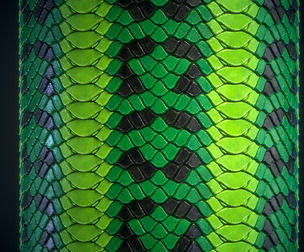 snakeskin leather - VOL 02 - Maps - SBsar