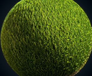 Grass green plain Anime Stylized - VOL 02 - SBsar - Maps