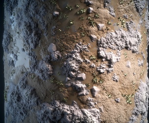 Grass and Ground - Vol 03 - Sbsar - Maps