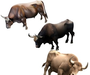 Majestic Bull Statue