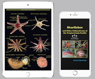 Starfishes and Other Echinoderms of the Tropical Indo-Pacific