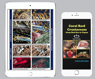 Coral Reef Crustaceans