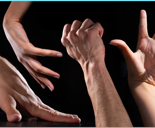 Hands - Reference Photo Pack For Artists 587 JPEGs noAI