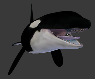 Orca