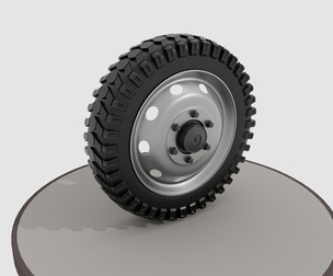 Wheel with disk and nuts