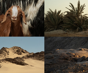 Rocky Nature Of Egypt - Reference Photo Pack For Artists 227 JPEGs noAI