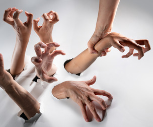 Hands (Female) - Photo Reference Pack For Artists 432 JPEGs noAI