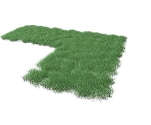 Realistic Lawn Grass Patch