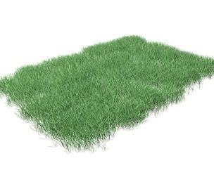 Lawn Grass Model for Exteriors