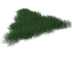 3D Lawn Grass for Garden and Park