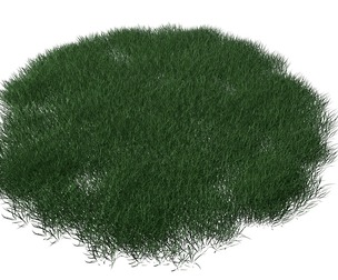 Realistic Lawn Grass Patch