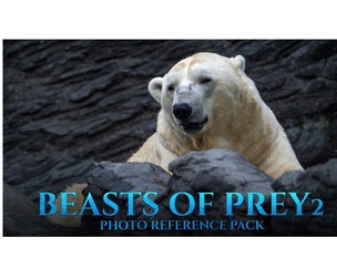 Beasts of Prey vol.2 - Reference Photo Pack For Artists 388 JPEGs noAI