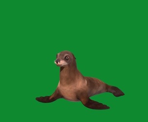 Sea Lion