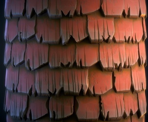 Roof tiles (Stylized) - VOL 03 - SBS & SBsar & Maps